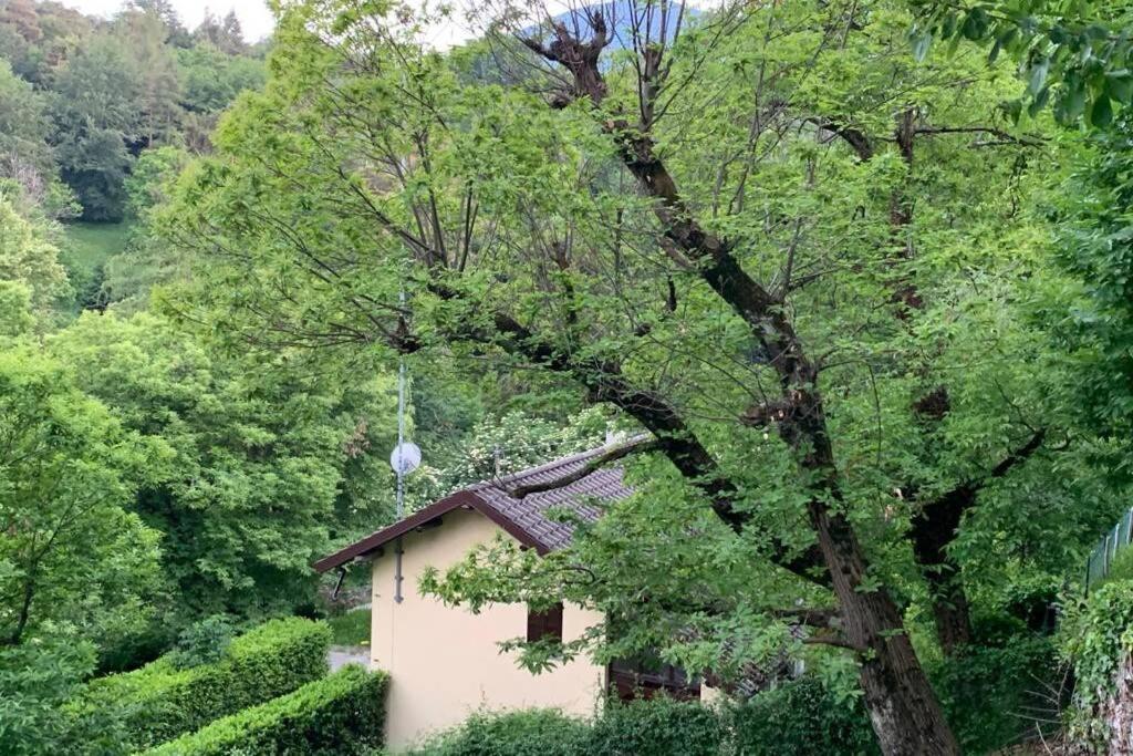 Traditional Villa Bellagio San Primo Lake Como מראה חיצוני תמונה